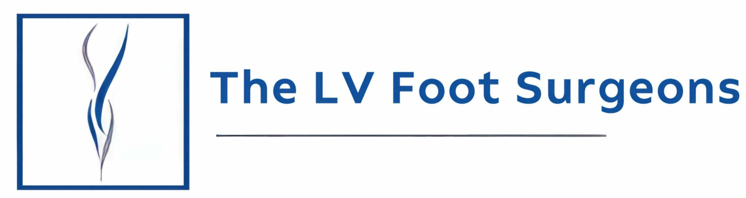 The LV Foot Surgeons